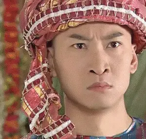 狂野男孩,网红尔康的表情包